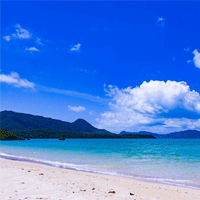 沖縄の結婚式が人気