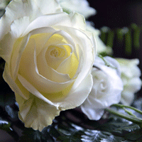 キャンセルするタイミング